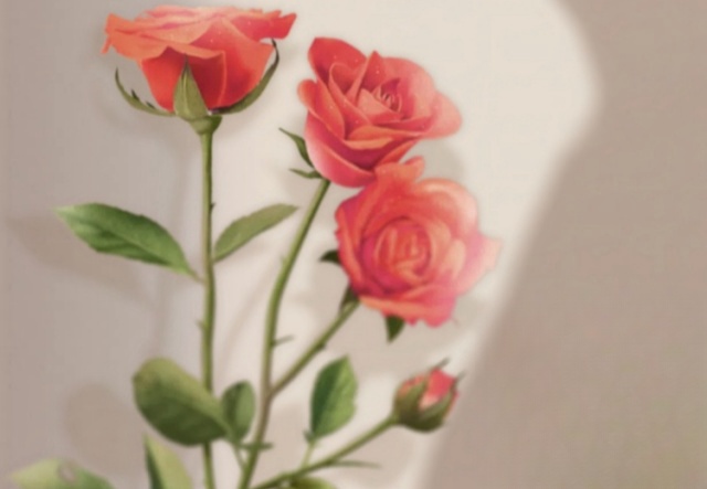 祝天下女神們節(jié)日快樂！！！